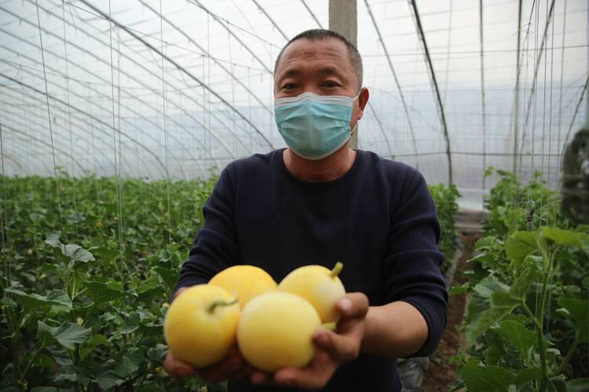 多粒鲜果
